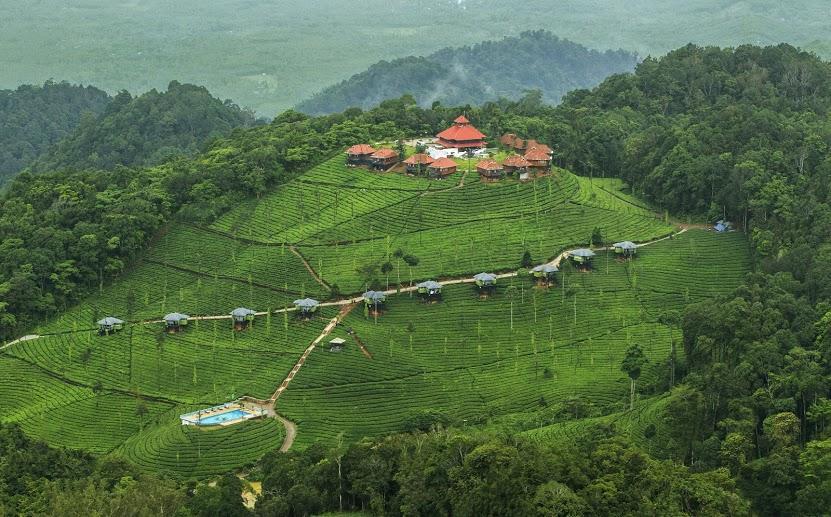 Wild Planet Jungle Resort Devāla Zewnętrze zdjęcie