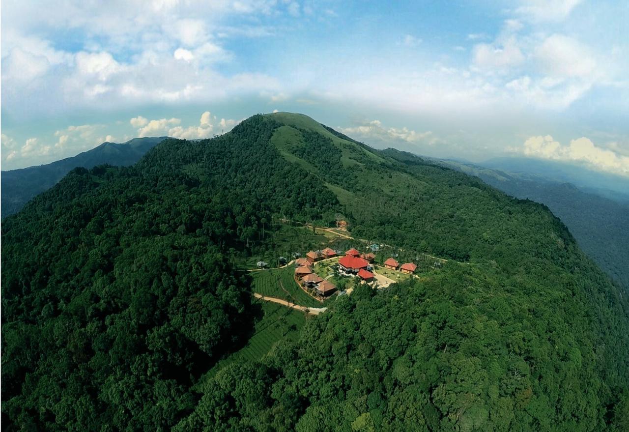Wild Planet Jungle Resort Devāla Zewnętrze zdjęcie
