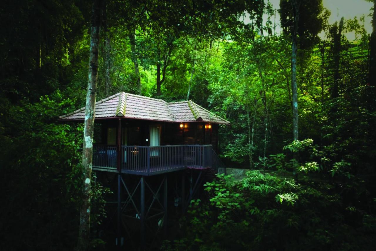 Wild Planet Jungle Resort Devāla Zewnętrze zdjęcie