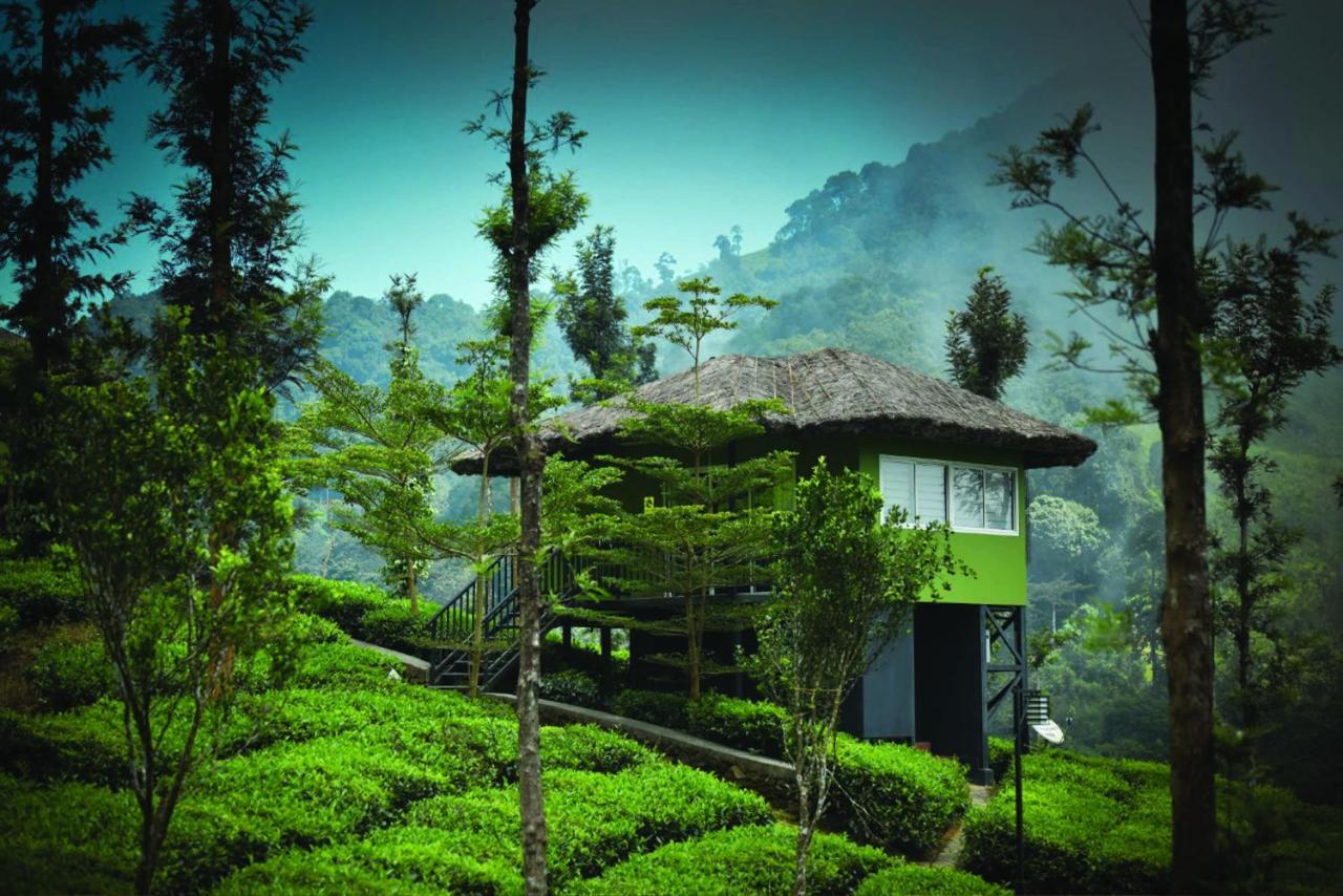 Wild Planet Jungle Resort Devāla Zewnętrze zdjęcie